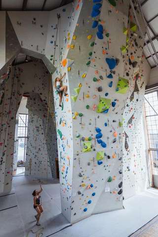 urban apes Hannover – Bild 2