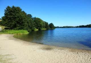 Badestelle "Lankower See Südufer" – Bild 1