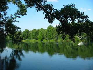 Schwanenteich – Bild 1