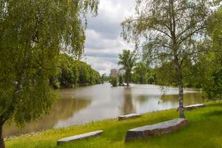 Schwanenteich – Bild 2