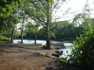 Schwanenteich – Bild 3