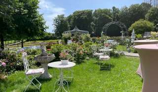 Eierkaal Gasthof – Bild 3