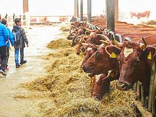 Demeter Hof Bochröder – Bild 1