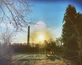 Seelenheilen e.V – Bild 2