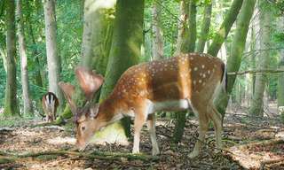 Wildpark Malente – Bild 3