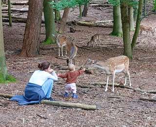 Wildpark Malente – Bild 5