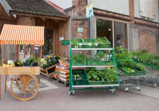 Hof-Medewege oHG – Bild 1