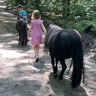 Ponyhof Oberwaldhaus – Bild 3