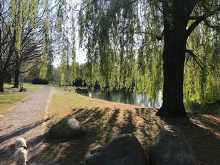 Dorneburger Park – Bild 1