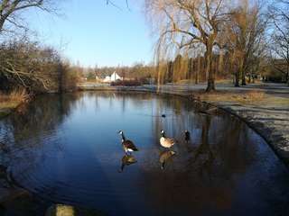 Dorneburger Park – Bild 3