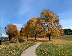 Pringle Creek Park – Bild 4