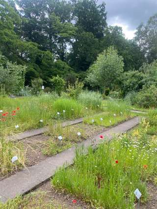 Theaterpark – Bild 5